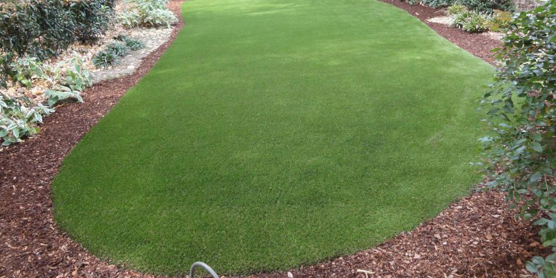 Turf Grass in Charlotte, NC