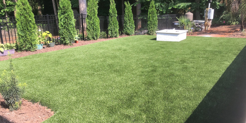 Synthetic Lawn in Charlotte, NC