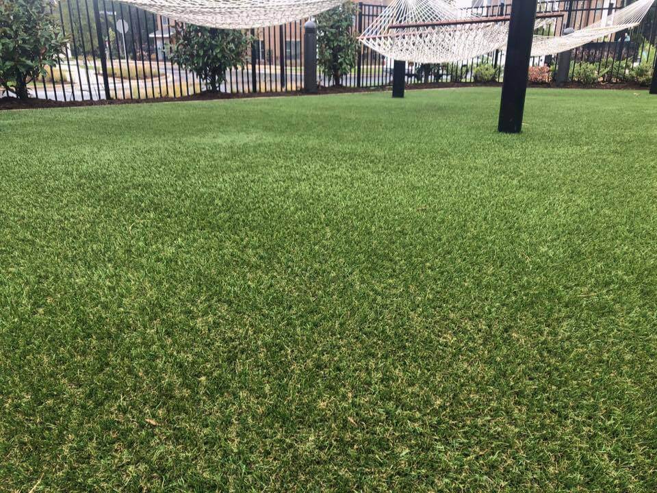 Artificial Grass Gallery