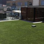 ForeverLawn Fusion in Charlotte, NC