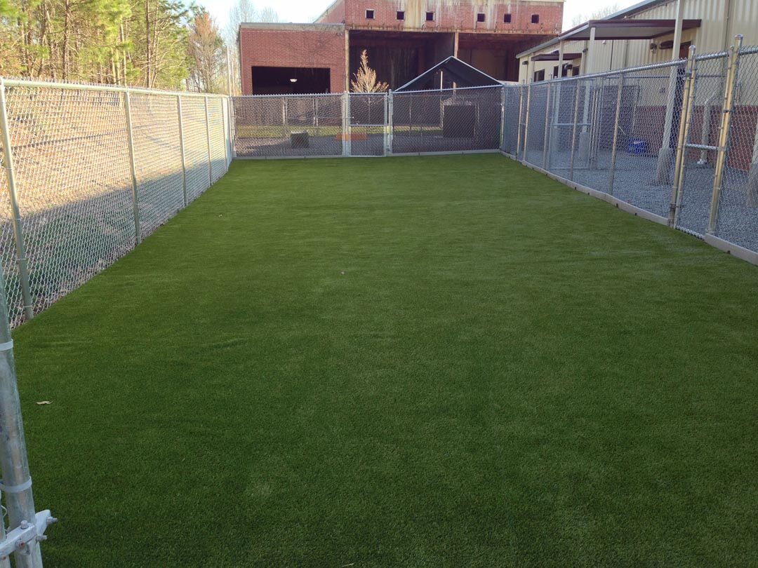 Artificial Grass Gallery
