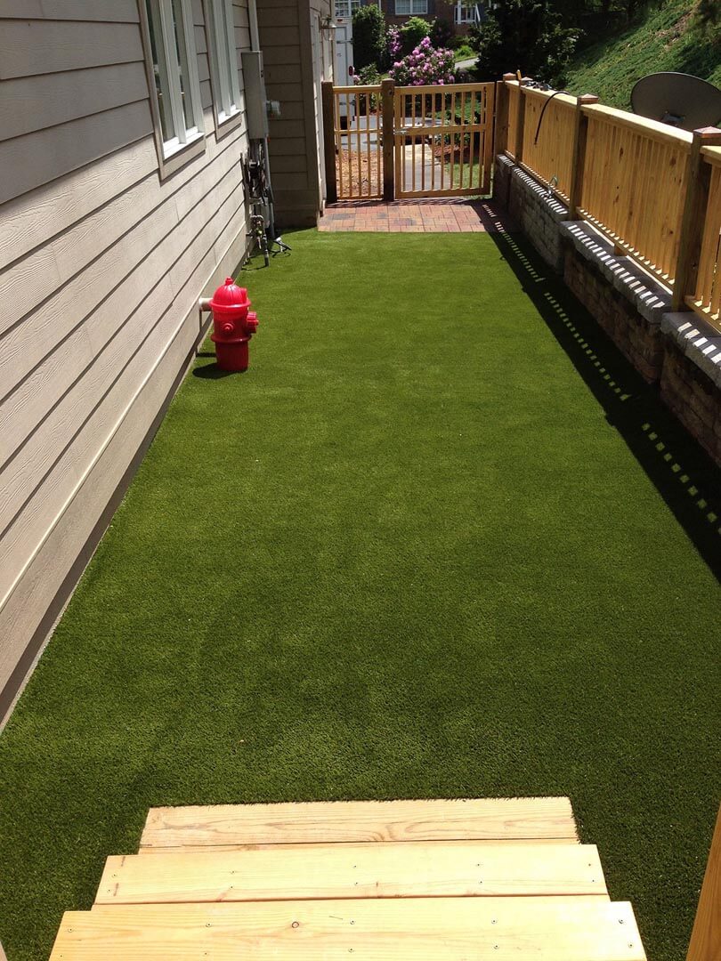 Artificial Grass Gallery