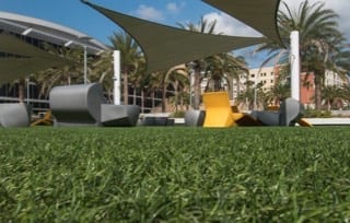 Natural Grass Appearance