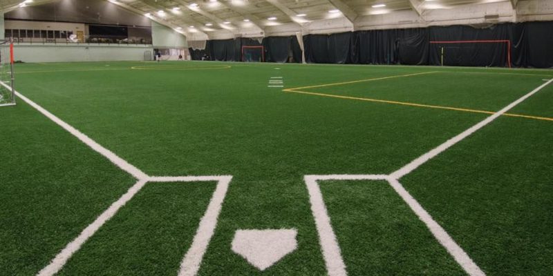 Artificial Grass Suppliers in Charlotte, North Carolina