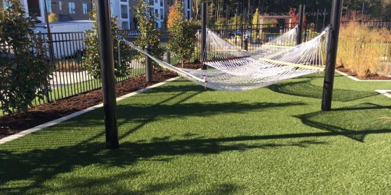 Backyard Grass in Charlotte, North Carolina