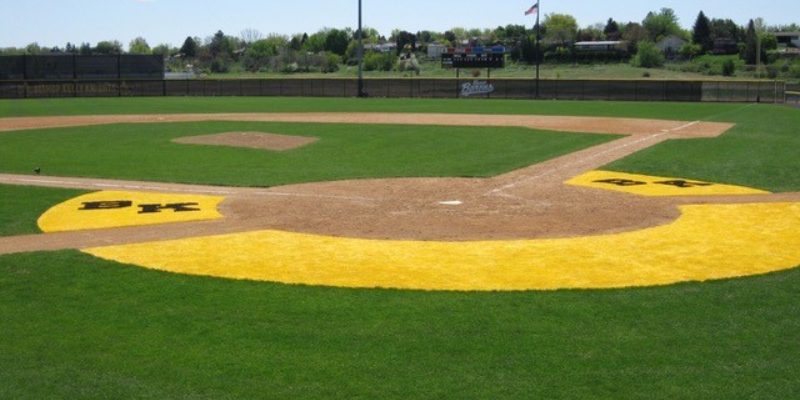 Four Winning Advantages of SportsGrass