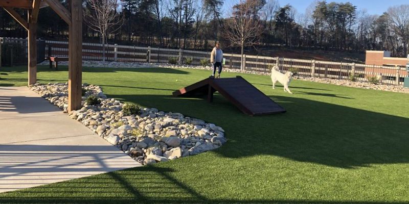 Health and Safety: Why Artificial Grass for Dogs Is Perfect