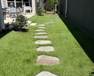 Upgrade Your Outdoor Space with Our Backyard Grass