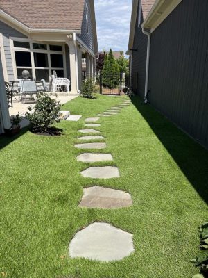 Upgrade Your Outdoor Space with Our Backyard Grass