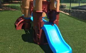 Why You Should Rely on Us for Playground Grass