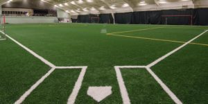 What to Look for in Artificial Grass Suppliers